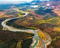 Decreasing biodiversity affects productivity of remaining plants