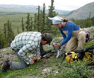 Trees on Tundra's Border Are Growing Faster in a Hotter Climate