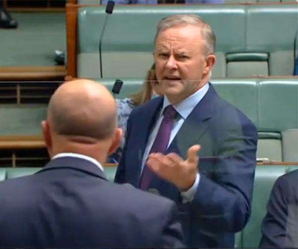 Left-leaning PM Albanese triumphs in Australian election