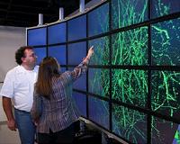 3-D map of the brain