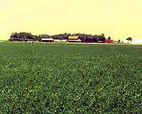 Self Seeding: An Innovative Management System