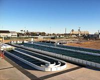 Species diversity reduces chances of crop failure in algal biofuel systems