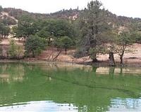 Toxic algal blooms behind Klamath River dams create health risks far downstream