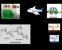 Algal residue - an alternative carbon resource for pharmaceuticals and polyesters