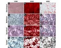 Methods used to create textiles also could help manufacture human tissues