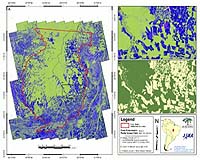 Woods Hole Research Center Debuts New Image Mosaic That Will Strengthen Global Forest Monitoring