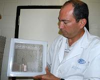 NMSU professor focuses on house fly research