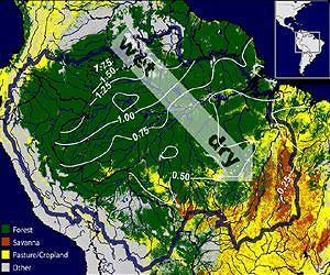 Amazon's flying water vapor rivers bring rain to Brazil