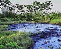 Chevron tried to taint Ecuador toxic waste trial: lawyer