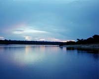 Brazil launches international fund to preserve Amazon