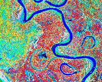 Study: Amazon River is at least 9 million years old