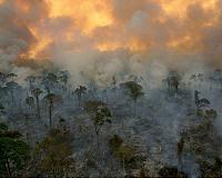 Brazil bans burning for two months to defuse Amazon crisis