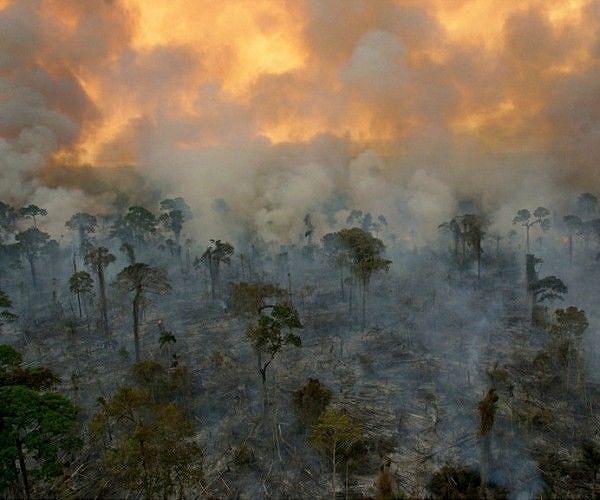 Young climate activists sue Brazil over 'carbon trick'