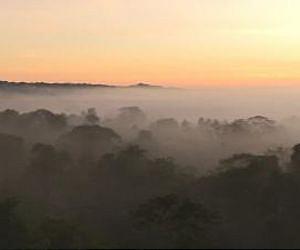 Brazil moves to evict invaders from Amazon's Awa lands