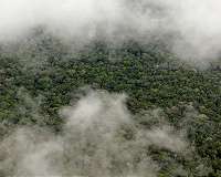 For Amazon tribe, rainforest is a whole world