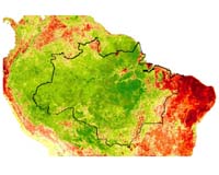 Brazil wants to cut foreign ownership in the Amazon: report
