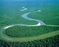Brazil sees carbon market saving Amazon