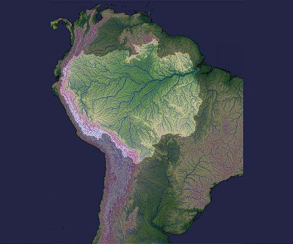 Fish trade's murky waters cloud double murder in Amazon