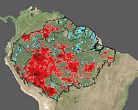 Amazon Forest Shows Unexpected Resiliency During Drought