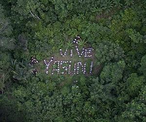 Amazon countries vow to enhance conservation efforts