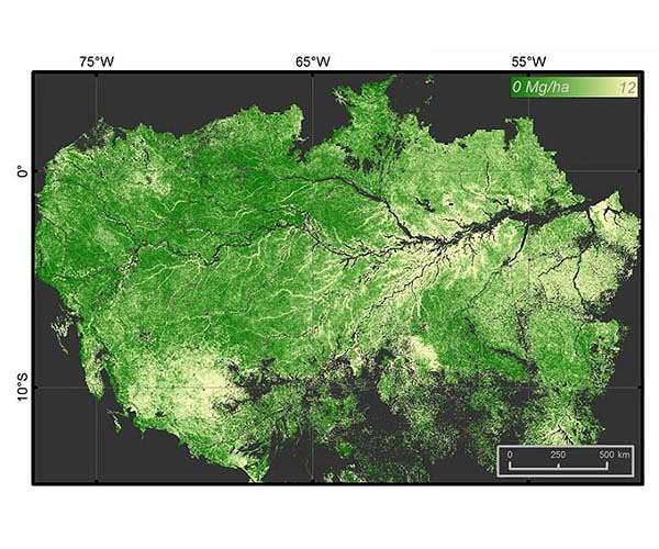 Climate change, human activity threatens carbon uptake in Amazon forests