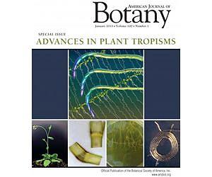 Scientists join forces to bring plant movement to light