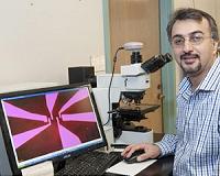 Graphene imperfections key to creating hypersensitive 'electronic nose'