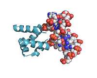 An experiment in recreating primordial proteins solves a long-standing riddle