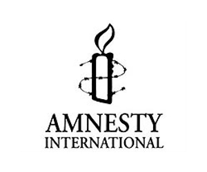 Amnesty calls on Egypt to refuse US arms shipment