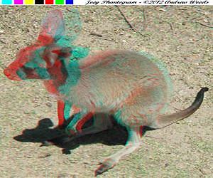 New analysis yields improvements in 3D imaging