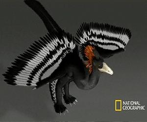 Adding Color To A Flying Dinosaur