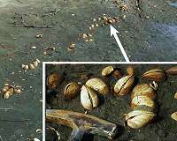 Syracuse researchers shine light on ancient global warming