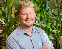 As CO2 levels rise, some crop nutrients will fall