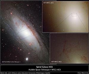 Rare Ultra-blue Stars Found in Neighboring Galaxy's Hub