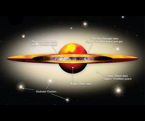 Isolating The Stellar Discs Of Andromeda