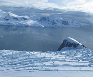 Antarctic fjords are climate-sensitive hotspots of diversity in a rapidly warming region
