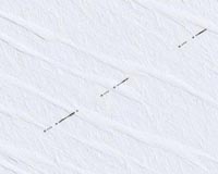 French satellite spots Antarctic caravan