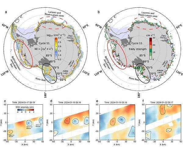 SWOT maps widespread eddies along Antarcticas coastal seas