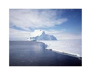 Marine Animals Suggest Evidence For A Trans-Antarctic Seaway