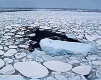Arctic Sea Ice Reaches Second Lowest Level On Record