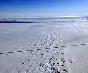 Study suggests large methane reservoirs beneath Antarctic ice sheet