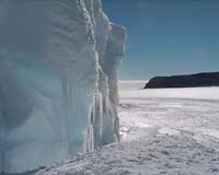 The Antarctic Free-For-All