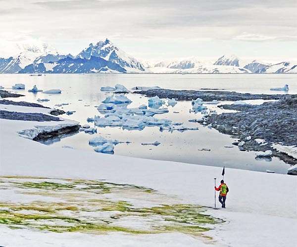 Antarctica's ice melt isn't consistent, new analysis shows