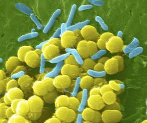 Study proves new technology kills bacteria