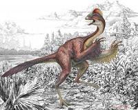 How dinosaur arms turned into bird wings