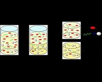 New system allows heightened purity of a metal binding compound