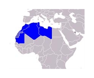 New jihadist alliance spells trouble for Maghreb