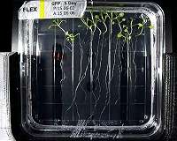 Space Station Unit to Study Genetics of Model Organisms
