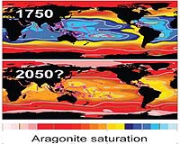 Coral decline warns of ocean changes: Australian scientists