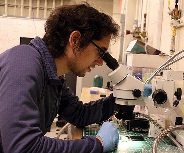 New material could be two superconductors in one